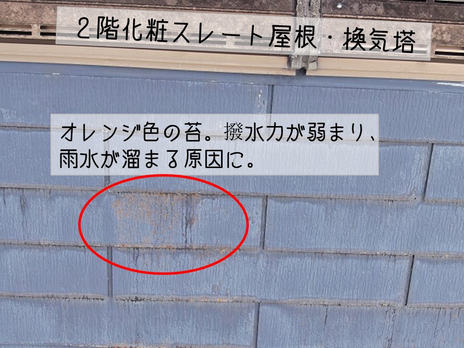 東広島市　化粧スレート　屋根調査　2階屋根　苔